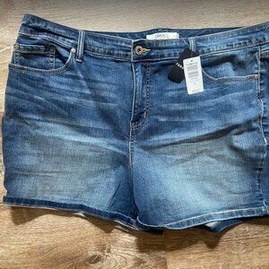 Torrid NWT size 22W Distressed Hi Rise Hang ten denim short